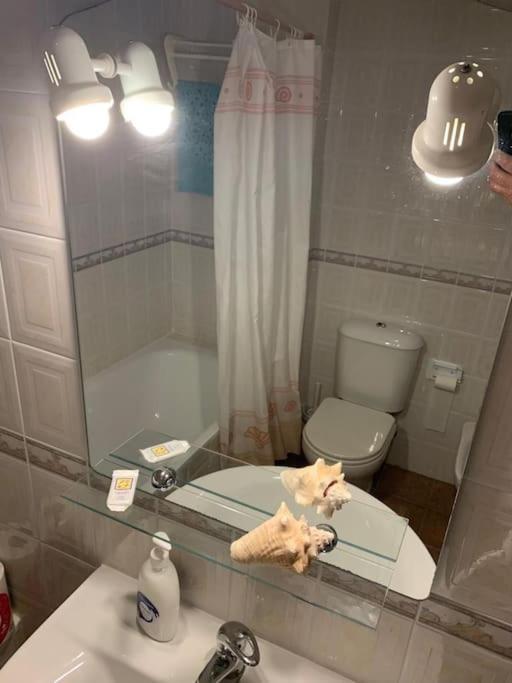 Encantador Com Piscina